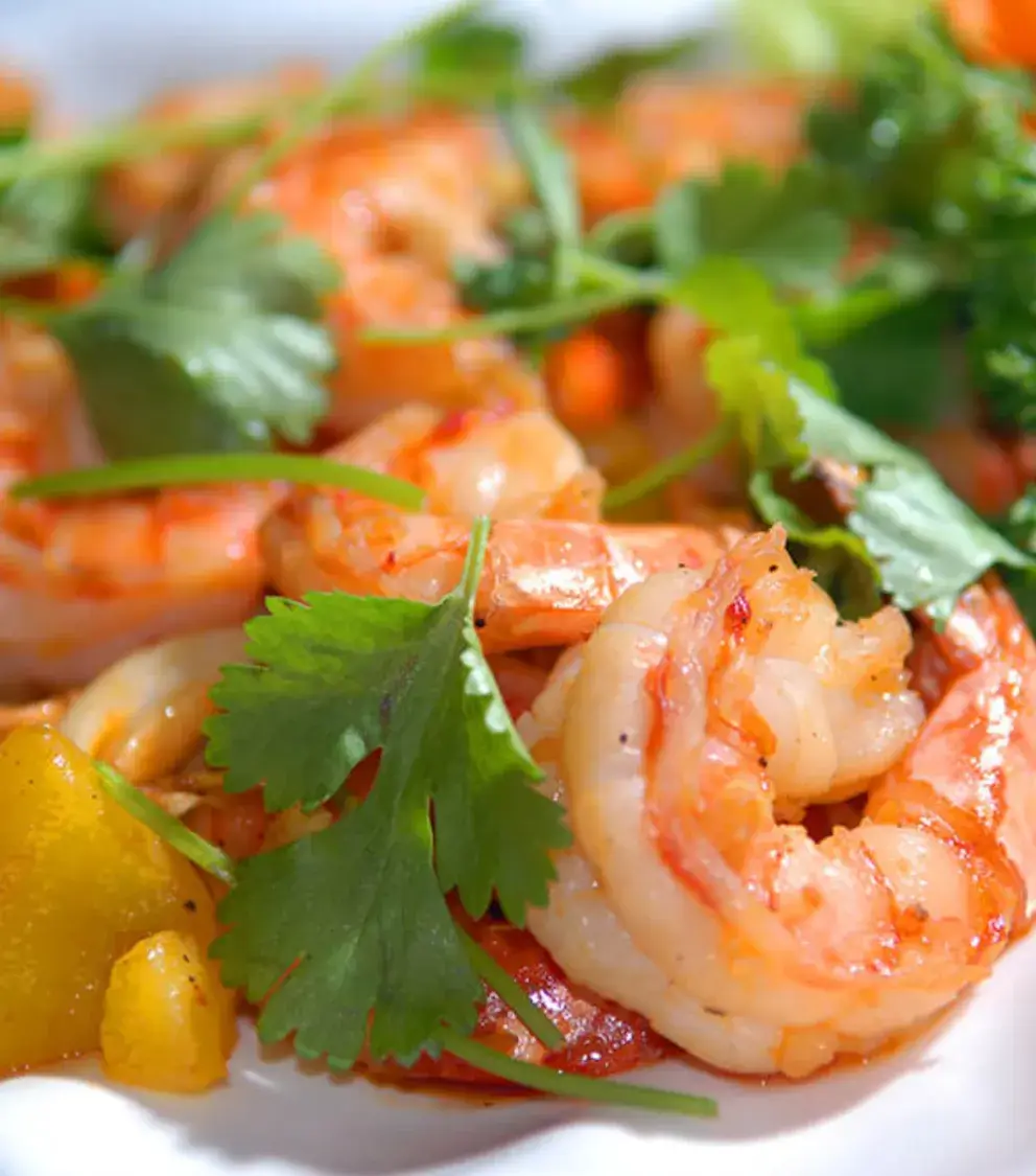 royal solaris cancun all inclusive resort marina and SPA